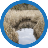 Environmental Design